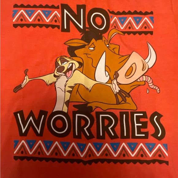 Lion King Timon & Pumbaa No Worries Men’s/Unisex T-Shirt Size Small - Picture 5 of 5